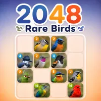 PLay 2048 Rare Birds now!